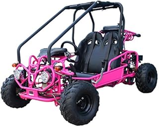 125cc Gokart Gk110 Kandi Mini Raptor 125cc Kart Gokart with Reverse and Big 16 inches Wheels for Gas Go Kart Kids and Youth (Pink)
