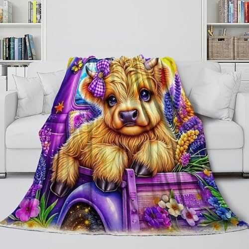 Couverture microfibre douce Highland Cattle 3D jeté de lit au toucher peluche d'exception