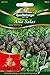 Produktbild Asia-Salat Spicy Mischung von Quedlinburger Saatgut