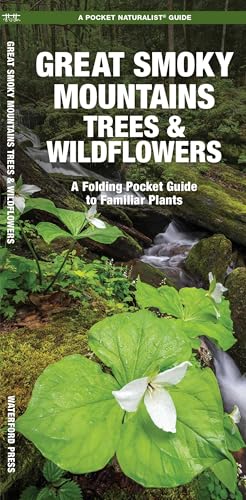 Great Smoky Mountains Trees & Wildflowers: A Folding Pocket Guide to Familiar Plants (Parks & Public Lands Nature)