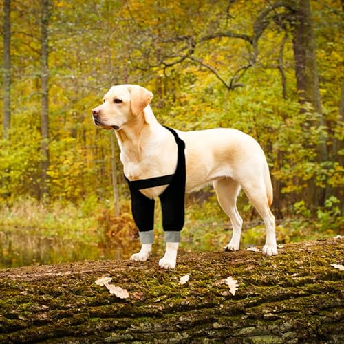 Image of Dog Elbow Protector Dog Front Leg Recovery Sleeves, Adjustable Dog Recovery Suit Dog Elbow Pads for Calluses Hygroma, Dog Leg Wounds Bandages Wrap Leg Warmer, Adjustable Dog Leg Sleeve to Stop Licking