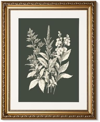 ARPEOTCY Gold Framed Canvas Wall Art, Botanical Floral Illustrati...