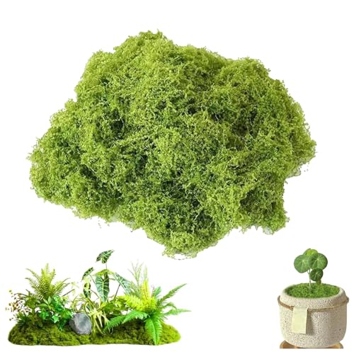 Funngy Musgo Artificial para Decorar,50 G Musgo Artificial para Manualidades y Decoración Ideal para Belenes Bodas Navidad Interiores Plantas Artificiales Macetas y Eventos Festivos