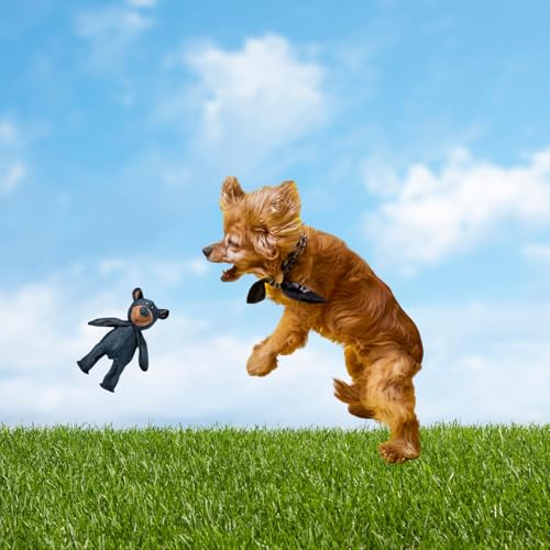 Yigoo Unzerstörbar Hundespielzeug,Unkaputtbar Kuschelti Plüsch Teddy Bär,Quietsch Robuste Hund Spielzeug,Anti-Kau Toy Blau L