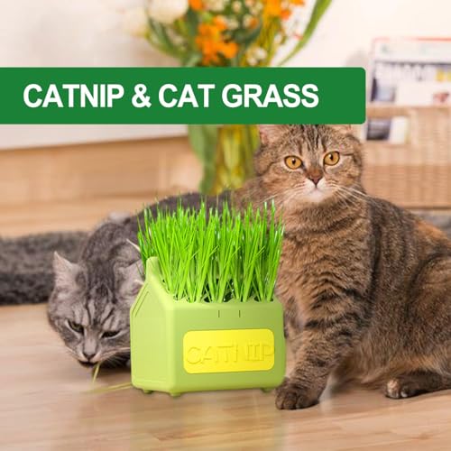 Plantador de grama para gatos, Plantador de grama para gatos para gatos internos,Recipiente anti-esc