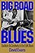 Big Road Blues: Tradition And Creativity In The Folk Blues - Evans, David