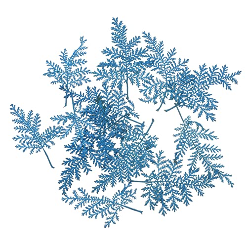 SEWACC 96 Unidades De Flor Seca Em Relevo Azul Flores Secas Naturais Em Relevo