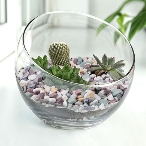 Image of Pulovin 2.5 lbs Pea Gravel for Plants, Aquarium, Fish Tank, 3 /8 inch Decorative Pebbles for Indoor Plants, Succulent, Bamboo, Vase, Drainage Rocks for Potted Plants, Top Dressing, Mixed Color