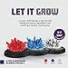 Crystal Growing Kit for Kids - Science Experiments for Boys and Girls Ages 6-12 Year Old Girl Gifts - Boy Toys STEM Crafts Activities, DIY Projects - Gift for Kids Age 6 7 8 9 10 11 12