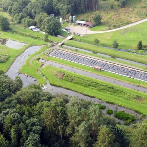 Hvad er Dambrug?