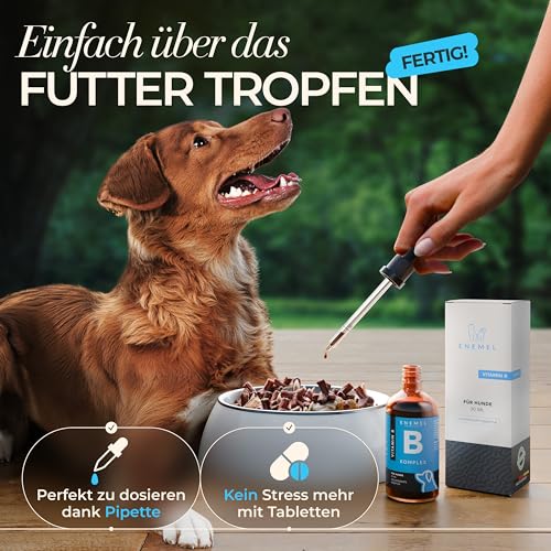 ENEMEL Vitamin B Komplex Hund Tropfen 30 ml – flüssige Vitamine für Hunde zur einfachen Anwendung, B-Vitamin Komplex zur täglichen Ergänzung & Fütterungsroutine, Premium Qualität Made in Germany