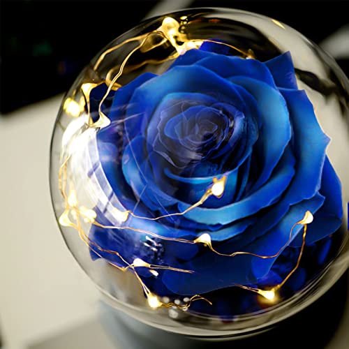 Deluxsa Mothers Day Birthday Gifts For Women Mom Grandma Wife, Rose Preserved Flowers Gift For Her, Anniversary, Wedding, Birthday, Valentines Day, Light Up Rose In A Dome #TOP1