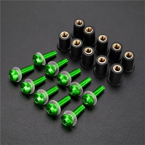 Tornillos de carenado verde 5mm para viajes de aventura en rutas de montaña con F650GS 2