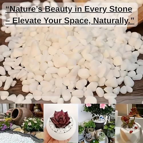 صخور نهرية طبيعية بيضاء بوزن 2.5 باوند من ارابيكو، احجار زينة 1-2 انش للنباتات والمناظر الطبيعية للحدائق والمزهريات وحوض السمك والحرف اليدوية وديكور المنزل، حصى بيضاء ناعمة للاستخدام الداخلي والخارجي