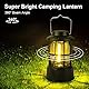 Flintronic 2 Stück LED Campinglampe Tragbar, IPX4 Wasserdichte Camping Licht, Batteriebetrieben Campinglampe, Dimmbare COB-Helligkeit & 3 Lichtmodi, für Outdoor, Nachtangeln, Garten, Notfall Ausfälle