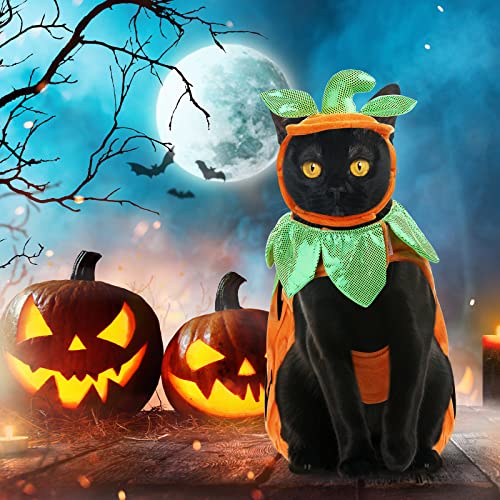 Disfraz Halloween para Gato 5 Piezas Potchen miniatura 5