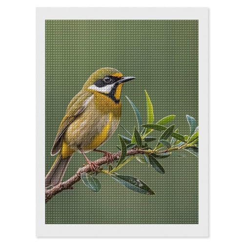 Peinture diamant oiseaux 5D pour décorer votre salon, broderie diamants carrés adulte