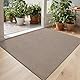 DEXI Fußmatte Innen 61 x 92 cm, rutschfeste Fussmatte waschbar, absorbierend Schmutzfangmatte, wasserdicht Türmatte für Hund, Haustür, Patio, Braun