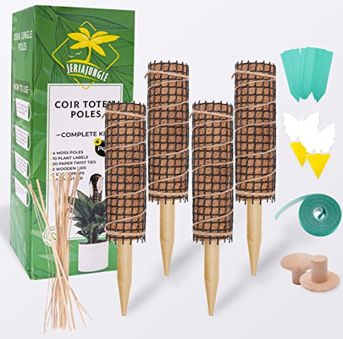 JERIA JUNGLE Moss Pole for Plants Monstera 4 Pack 12 Inch Coir Totem Support Sticks for Climbing Plants Moss for Potted Plants Trains Monstera Plants to Grow Upwards with Garden Ties