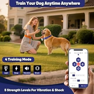 GPS Electric Dog Fence with Free App, Wireless Fence System with Training Collar, Adjustable of Dogs Portable Fence for Outdoor Use, Rechargeable Waterproof Flexiable Collar, (Blue)