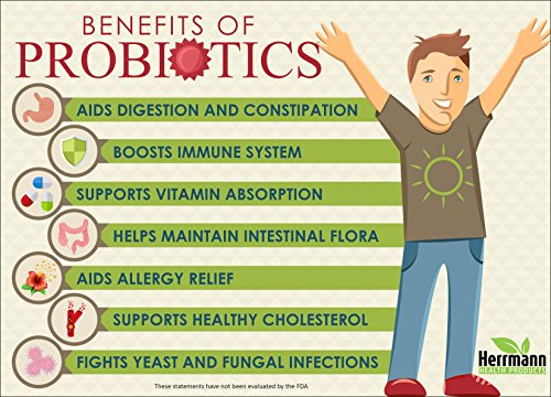Probiotics by Herrmann Health Products | Probiotic for Men and Women | High Potency 7 Strain Formula | 5.75 Billion Organisms per Capsule | Non-GMO Consisting of DE111™ | GMP Certified 60 Capsules - Image 7