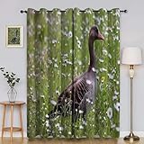 Photo Gallery bsyyzqc tende per interni oca grigia tenda camera da letto 3d fiori tende oscuranti termiche isolanti con occhielli 2 pezzi l 140 x a 260 cm per soggiorno cucina decorazione casa Photo Gallery bsyyzqc tende per interni oca grigia tenda camera da letto 3d fiori tende oscuranti termiche isolanti con occhielli 2 pezzi l 140 x a 260 cm per soggiorno cucina decorazione casa