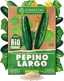 ZenGreens® - Semillas de pepino largo lungo verde degli ortolani bio