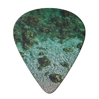 Lot de 6 médiators sous-marins imprimés récif corallien avec boîte de rangement pour guitare acoustique et électrique - Les Beatles, Paul McCartney, John Lennon, RIngo Starr, George Harrison Lot de 6 médiators sous-marins imprimés récif corallien avec boîte de rangement pour guitare acoustique et électrique – Image 3