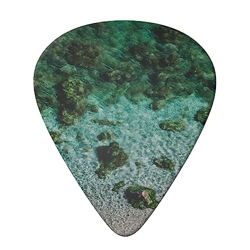 Lot de 6 médiators sous-marins imprimés récif corallien avec boîte de rangement pour guitare acoustique et électrique - Les Beatles, Paul McCartney, John Lennon, RIngo Starr, George Harrison Lot de 6 médiators sous-marins imprimés récif corallien avec boîte de rangement pour guitare acoustique et électrique – Image 4