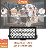 SF- AA50 Active AirClean Filter with Timestrip Indicator for Miele AirClean Filter Compatible with Miele S4 S5 S6 S8 S4000 S5000 S6000 S8000 Complete C2 C3 Compact C1 C2 Vacuum Activated carbon - Image 4