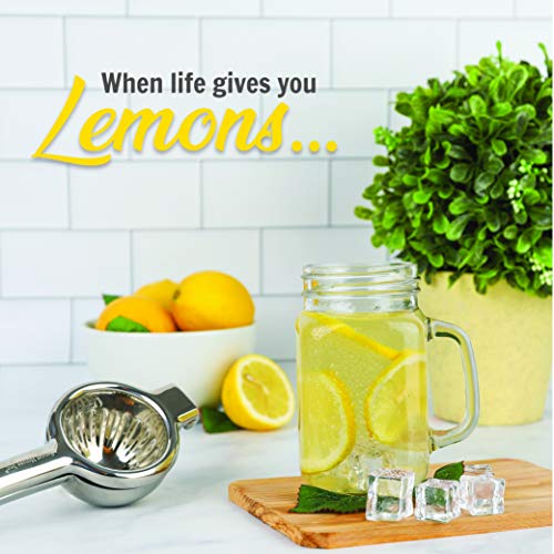 Extra-Large Stainless Steel Lemon Lime Squeezer - Manual Press - Citrus Juicer with Filter