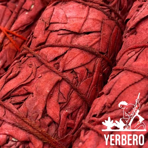 (Pack Of 3)-Yerbero - Premium 4 Inches Long Dragon's Blood Sage. 3 Hand Tied Bundles Dragon Blood Smudging Kit For Home Negative Energy Cleansing, Meditation. Purifying Ceremonial Ritual. #TOP5