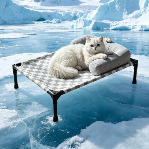 Cama elevada para perros y gatos desmontable con almohada mullida 4
