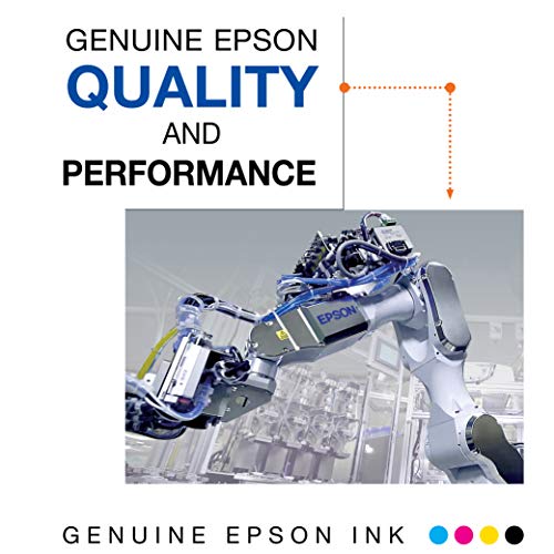 Epson T252 Durabrite Ultra Ink Standard Capacity Color Combo Pack (T252520-S) For Select Epson Workforce Printers, 1 Size #TOP2