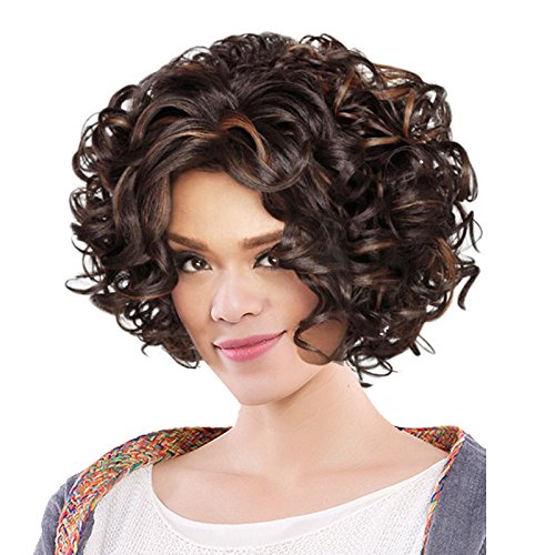 Danlier Short Curly Brown Wigs Heat Resistant Synthetic Hair Wigs Bob Wigs For Women