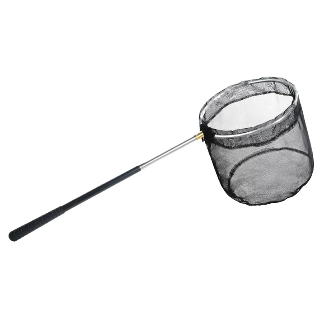 Extendable Fishing Nets Telescopic Butterfly Insect Nets Folding Fishing Landing Net for Outdoor Beach Garden Exploration
