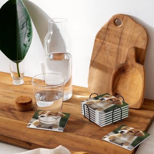 Dessous de verre en céramique absorbant avec liège pour table basse motif chiot - 8