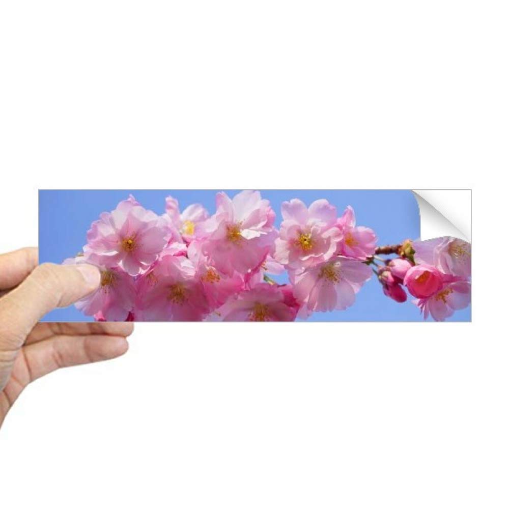 Sticker pour fenêtre fleurs bleu ciel rose pour rompre le vis-à-vis
