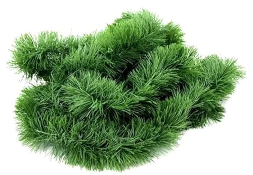 Festão De Natal Enfeite Decoração Natalina Tradicional Ou Metalizado - Diversas Cores E Tamanhos (2M