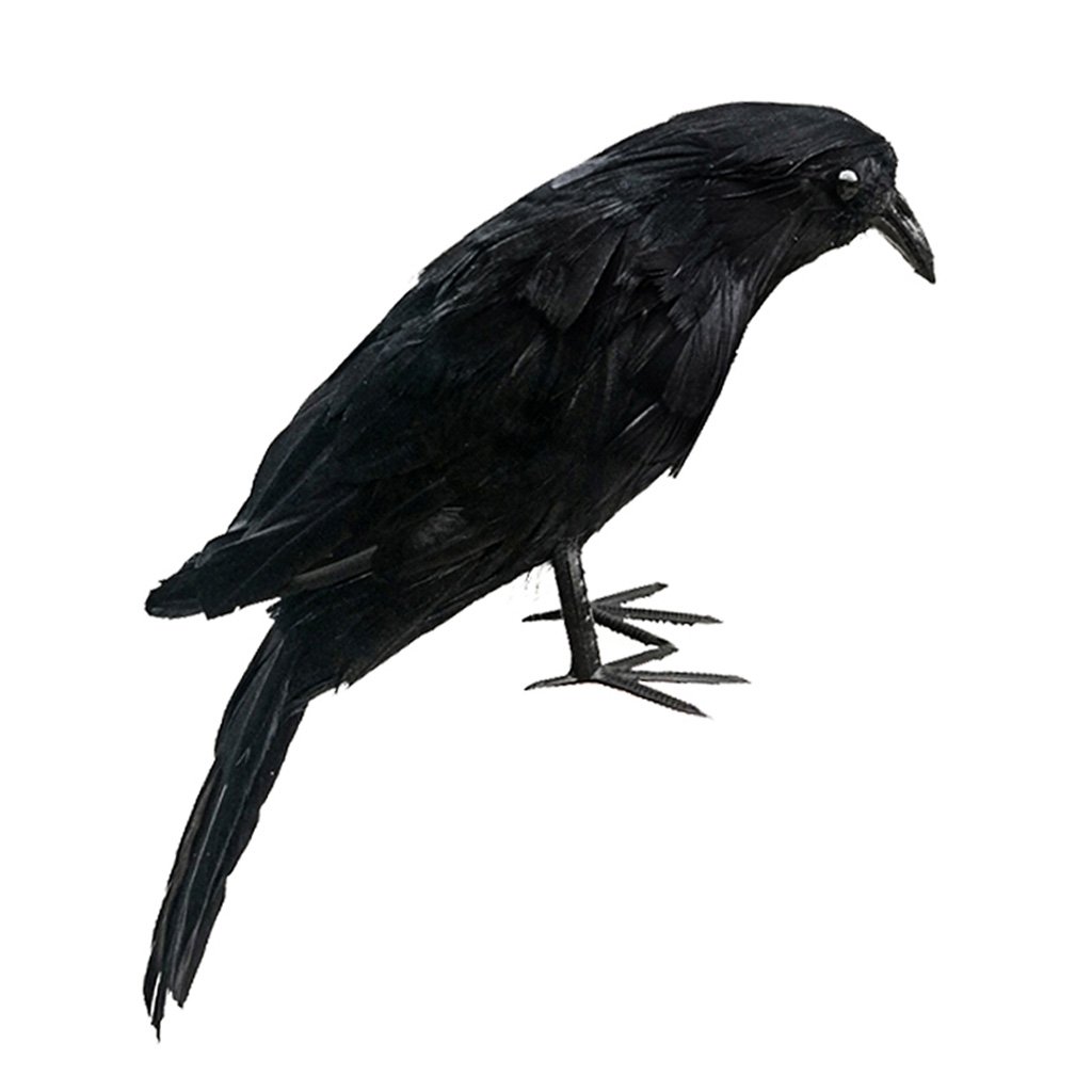 joyMerit Realistic Crows - Lifesize Handmade Black Feathered Crow for Halloween Decorations Birds (5 Different Size) - Black, 28cm
