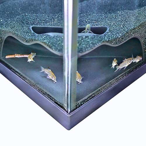 Lucky Critter Aquarium Underground Corner Cave Natural Curve | Viewing Fish & Shrimp Under Gravel Tunnel | Fish Tank Decor Decoration Hideout Perfect for Corydora Catfish Kuhli Loach Pleco