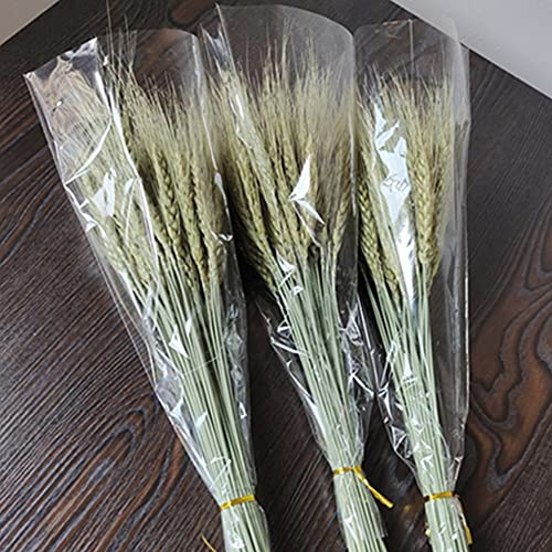 Natural Dried Wheat Stalks, 100 Stems Wheat Sheaves For Decorating Wedding Table Home Kitchen (15.7 Inches) #TOP5