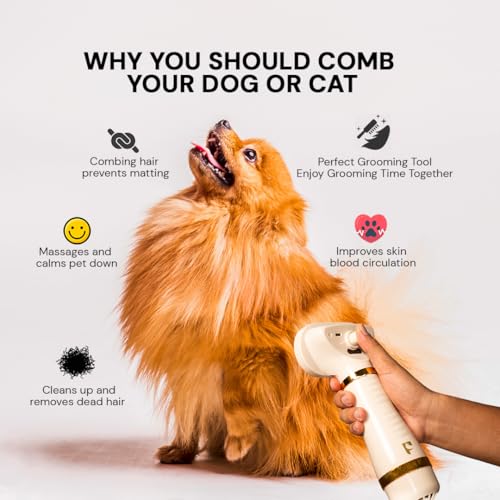 Pet Steam Brush Grooming Dryer for Dogs & Cats – 3-in-1 Grooming Tool with Gentle Steam, 600W Motor, Deshedding, Drying & Fur Fluffing for All Coat Types - Thumbnail 5