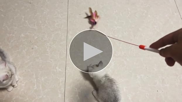 Bacchetta Con Piume Per Gatti - Giocattolo Interattivo Per Stimolare L'Istinto Di Caccia