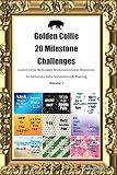 Golden Collie (Gollie) 20 Milestone Challenges Golden Collie Memorable Moments.Includes Milestones for Memories, Gifts, Socialization & Training Volum