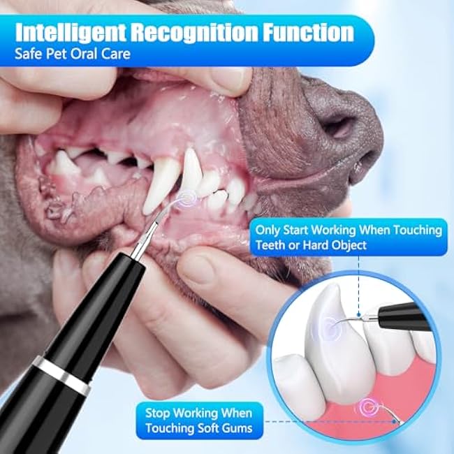 Dog Tartar Remover for Teeth, Plaque Remover with LED Light Teeth Cleaning Kit 5 Modes for Dogs and Cats, Black-Bb8wUptz