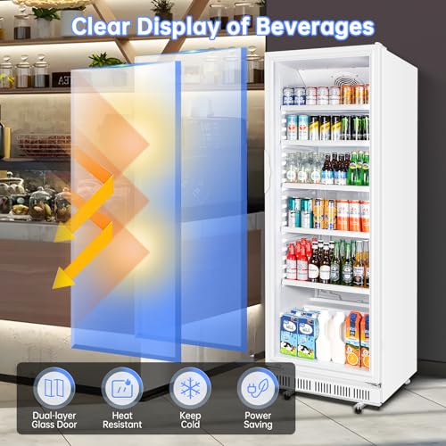 Commercial Beverage Refrigerator, 24.5 Inch 15 Cu. Ft. Drink Fridge, Display Refrigerator with Glass Door, Commercial Display Fridge with 5 Adjustable Shelves, for Shops, Restaurants, Bars