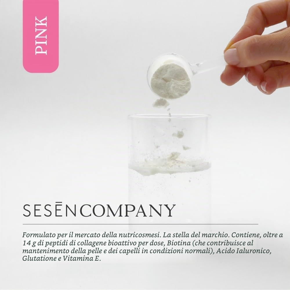 Sesen Peptidi di collagene idrolizzato in polvere, 500 g, collagene tipo 1, 2 e 3 con acido ialuronico e biotina per articolazioni, capelli e pelle, polvere di peptidi di collagene, bioattivo