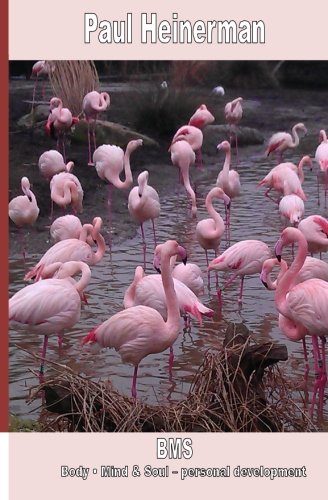 BMS Body Mind & Soul - personal development: Part II: Volume 2