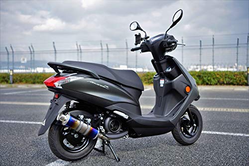 ビームスモーターカンパニー(Beams Motor Company) SS300ヒートチタンSP アクシスZ 2018年式(クリップ留め仕様) 2BL-SED7J G255-06-000